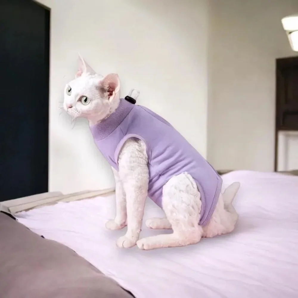 Purple Cat Recovery Suit